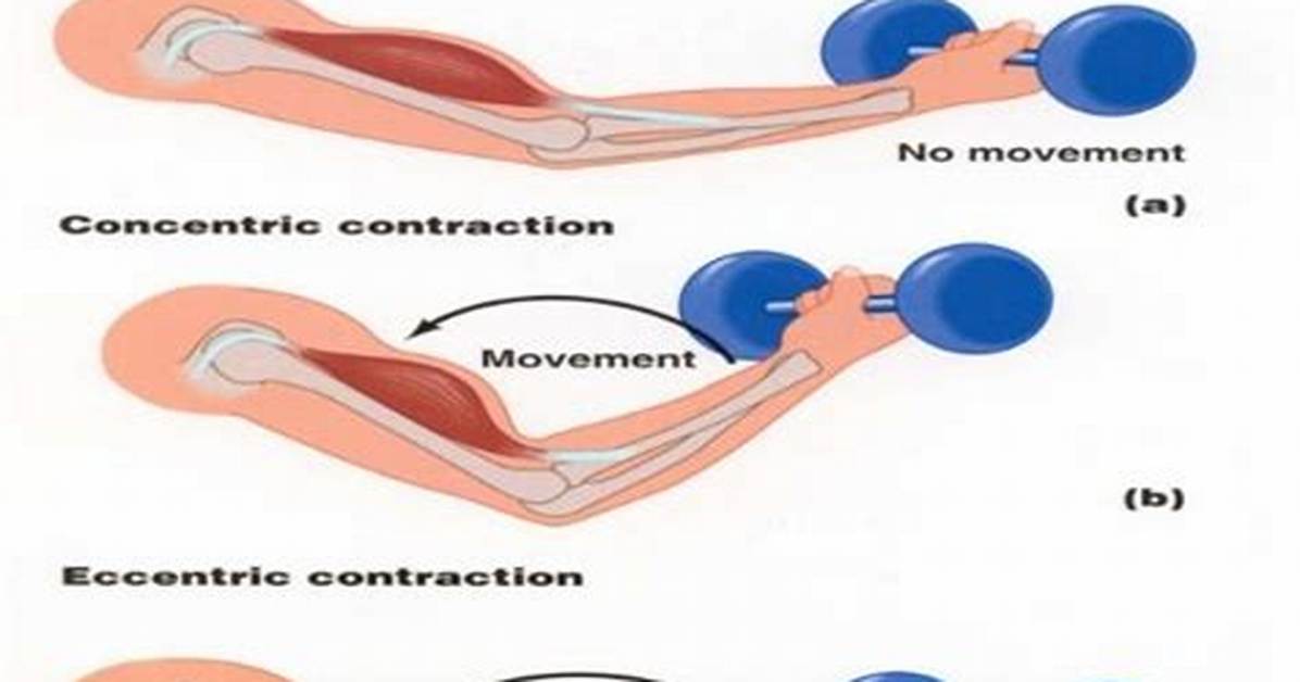 Isometric Contraction Examples