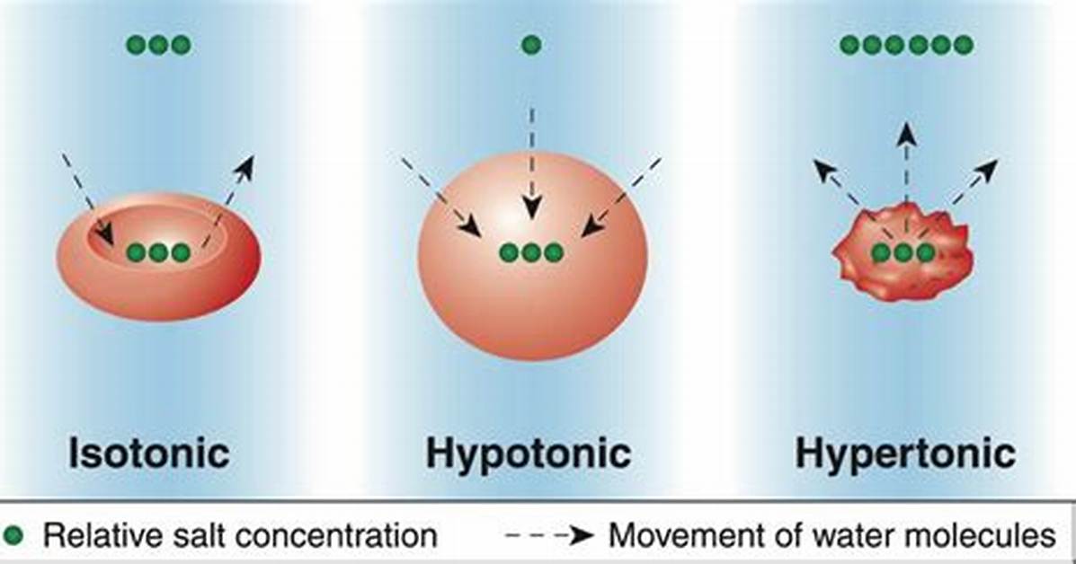 Isotonic Dehydration