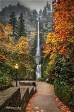 It Falls During the Fall
