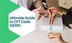 Iud Insertion Cpt Code