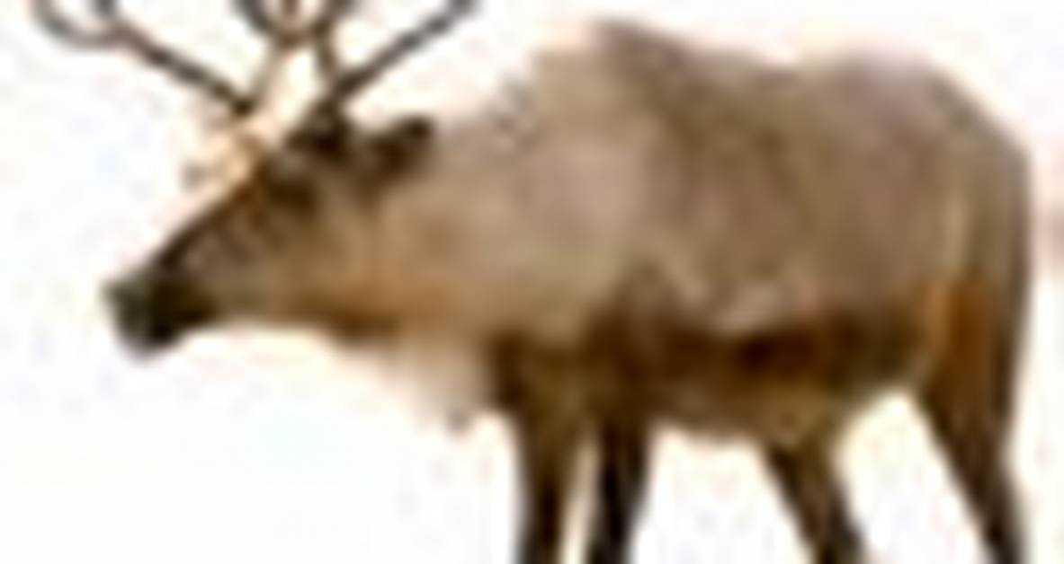 Jackson: Deserializing Null Strings as Empty Strings