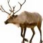 Jackson: Deserializing Null Strings as Empty Strings