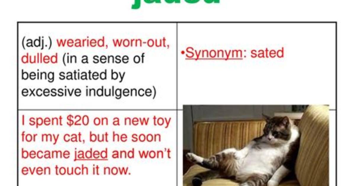 Jaded Exclamation