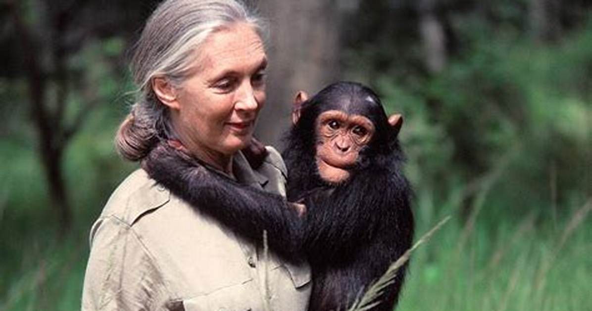 Jane Goodall