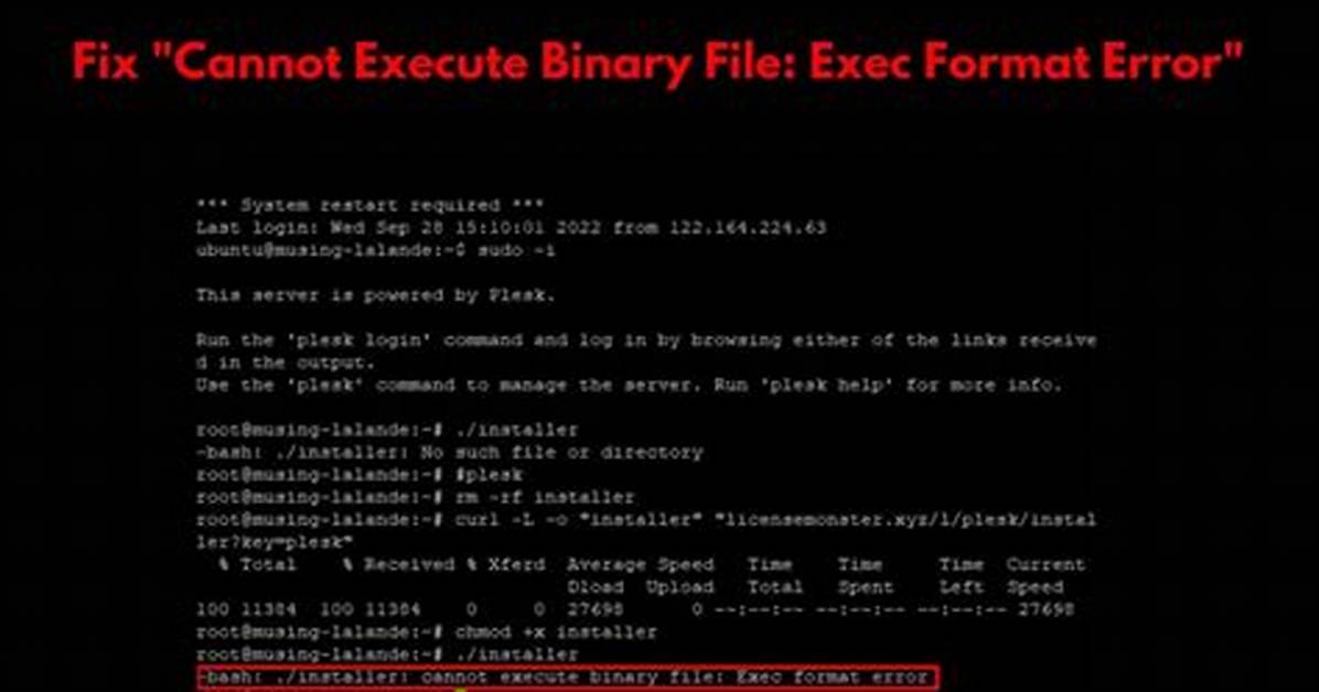 Java: Cannot Execute Binary File?