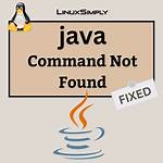 Java Command Not Found on Linux