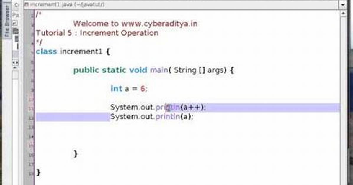 Java: Increment by 2 the Two Inputted Integer