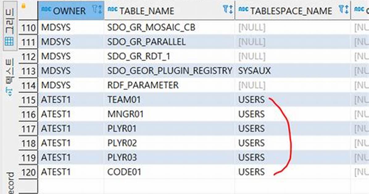 Java. Sql. Sqlsyntaxerrorexception: Ora-00942: Table or View Does Not Exist