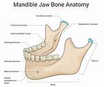 Jaw Bone Name