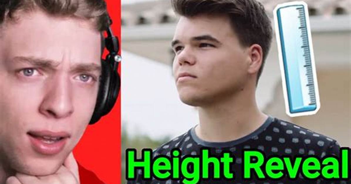Jelly Height