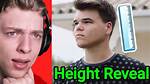 Jelly Height