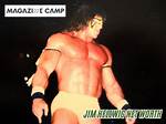 Jim Hellwig Net Worth