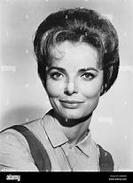 Joan Freeman