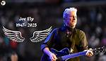 Joe Ely Net Worth