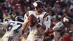 Joe Kapp