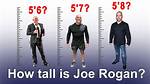 Joe Rogan Height