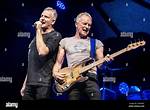 Joe Sumner