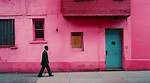 Joel Meyerowitz