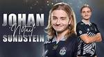 Johan Sundstein Bio (Wiki)