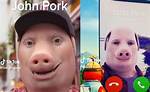 John Pork Is Calling Meme Explained