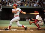 Johnny Bench