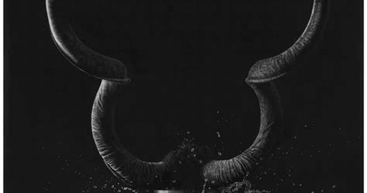 Jono Dry