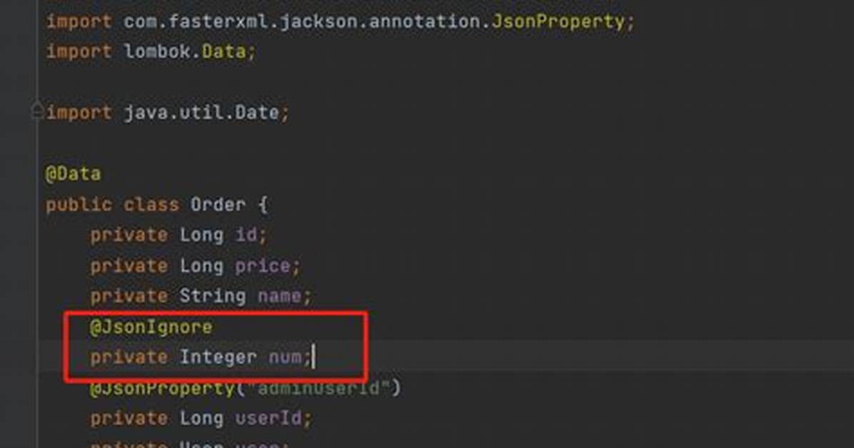 Jsonignore