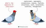 Judicious Synonym