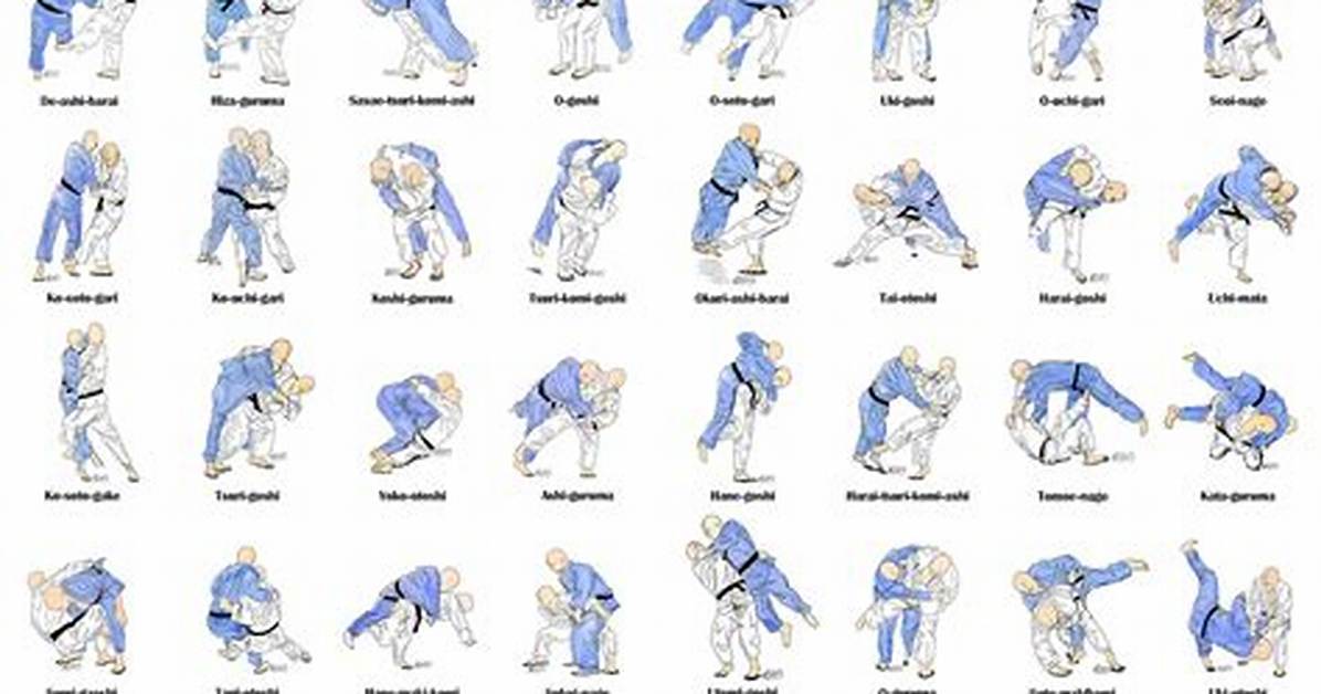 Judo Techniques