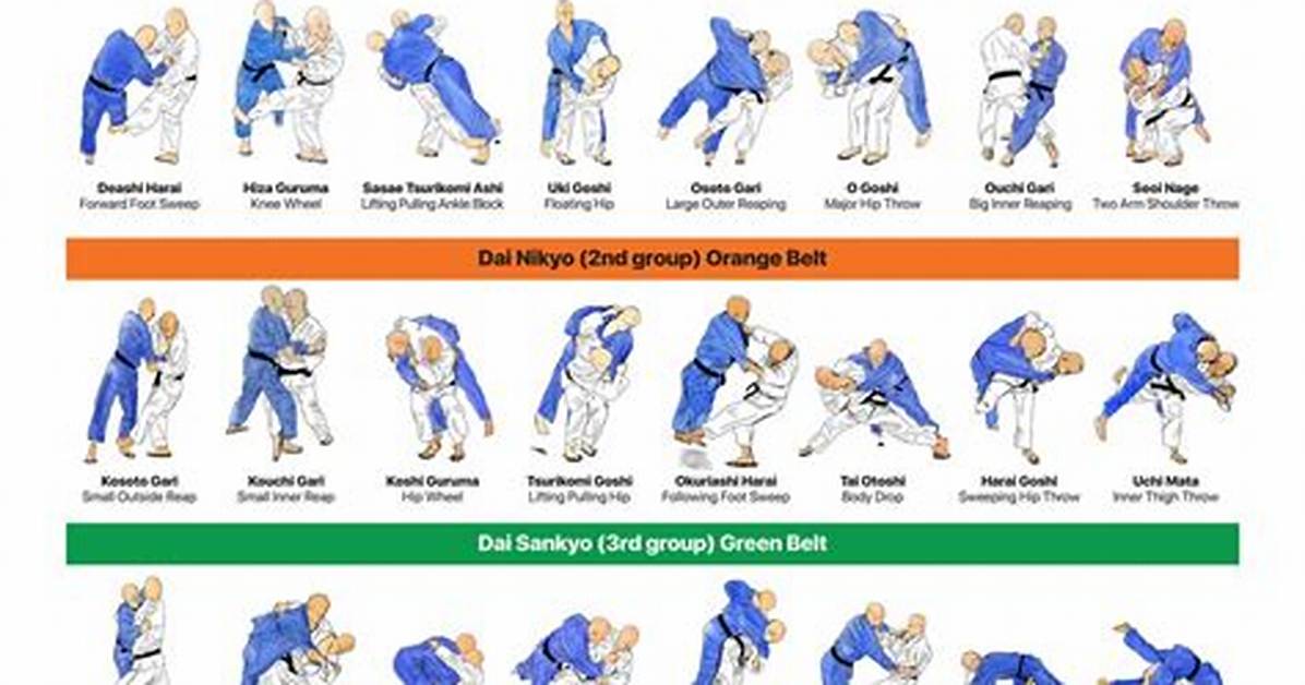Judo Throws