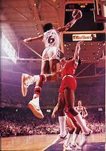 Julius Erving
