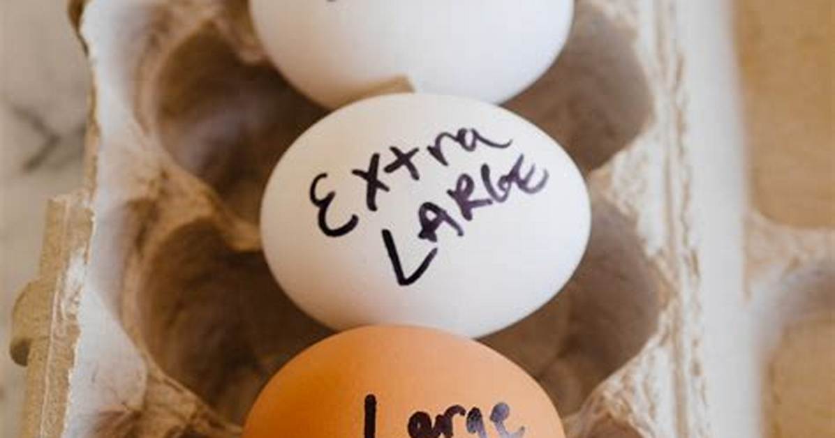 Jumbo Eggs