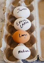 Jumbo Eggs