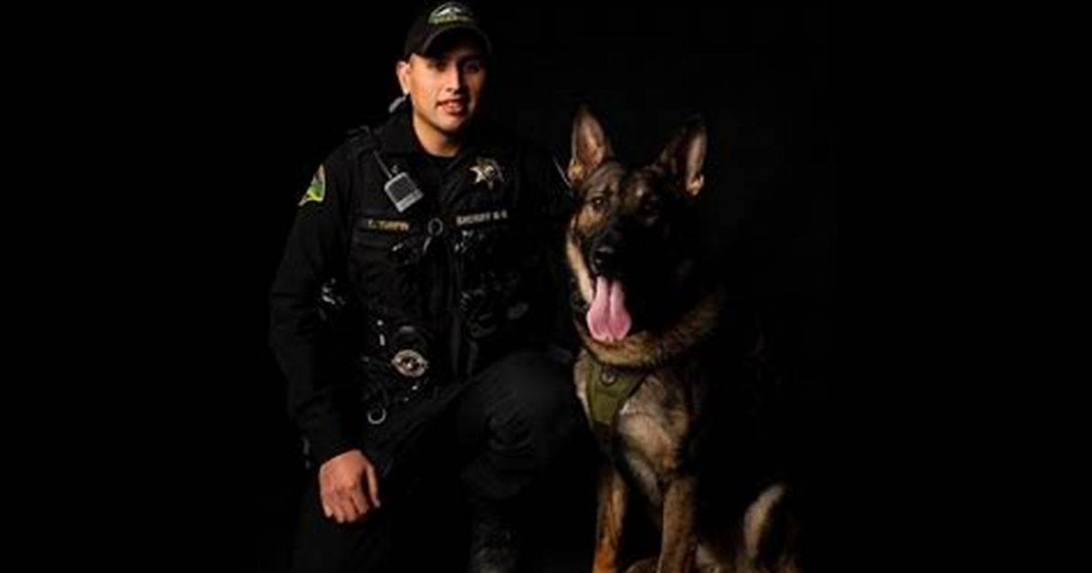 K9 Arlo