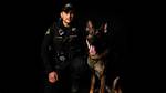 K9 Arlo