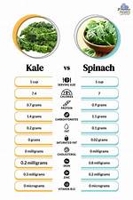 Kale vs Spinach