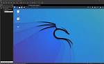 Kali Linux Vmware
