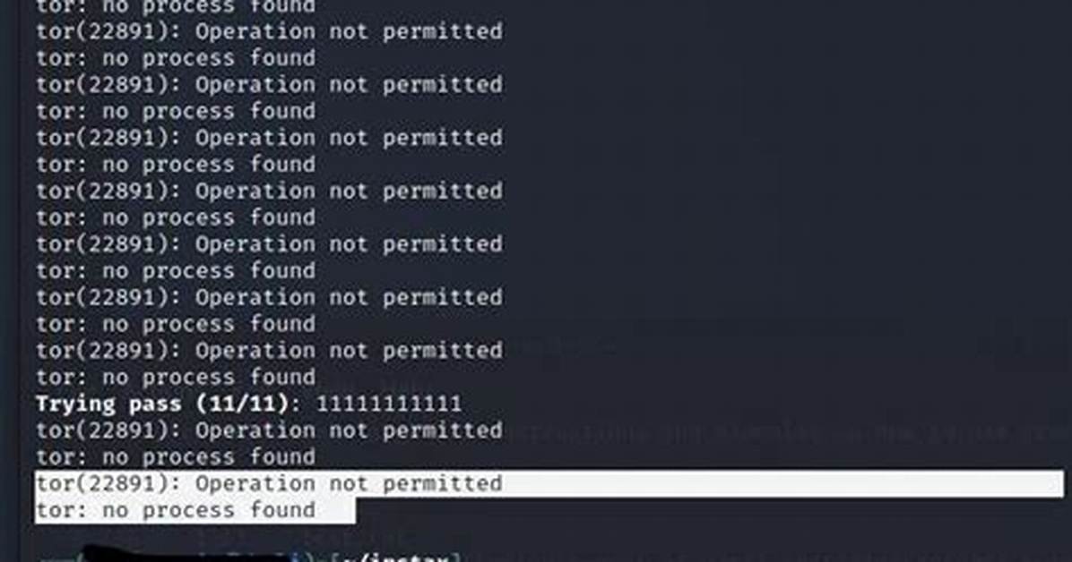 Kali Linux Vscode Python - Operation Not Permitted Run Python File with Internal Terminal