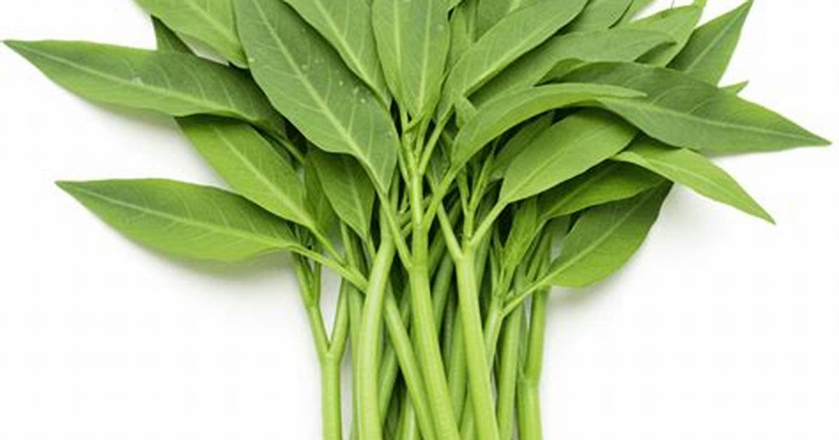 Kangkong