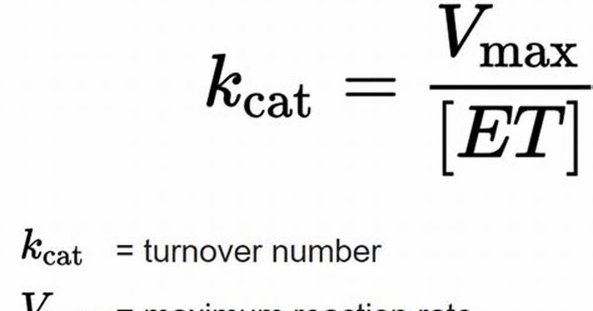 Kcat Equation