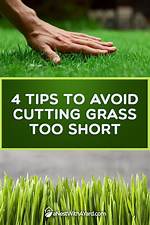 Keep the Grass Short