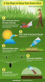 Keep ___ the Grass