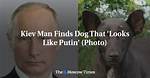 Kiev Man Finds Dog That 'Looks Like Putin' (Photo)