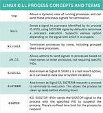 Kill All Processes for a Given User