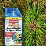 Kill Crabgrass