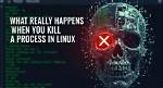 "Kill " Not Really Killing the Process, Why?