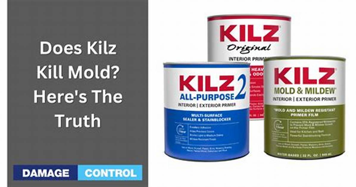 Kill Paint