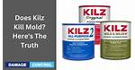 Kill Paint
