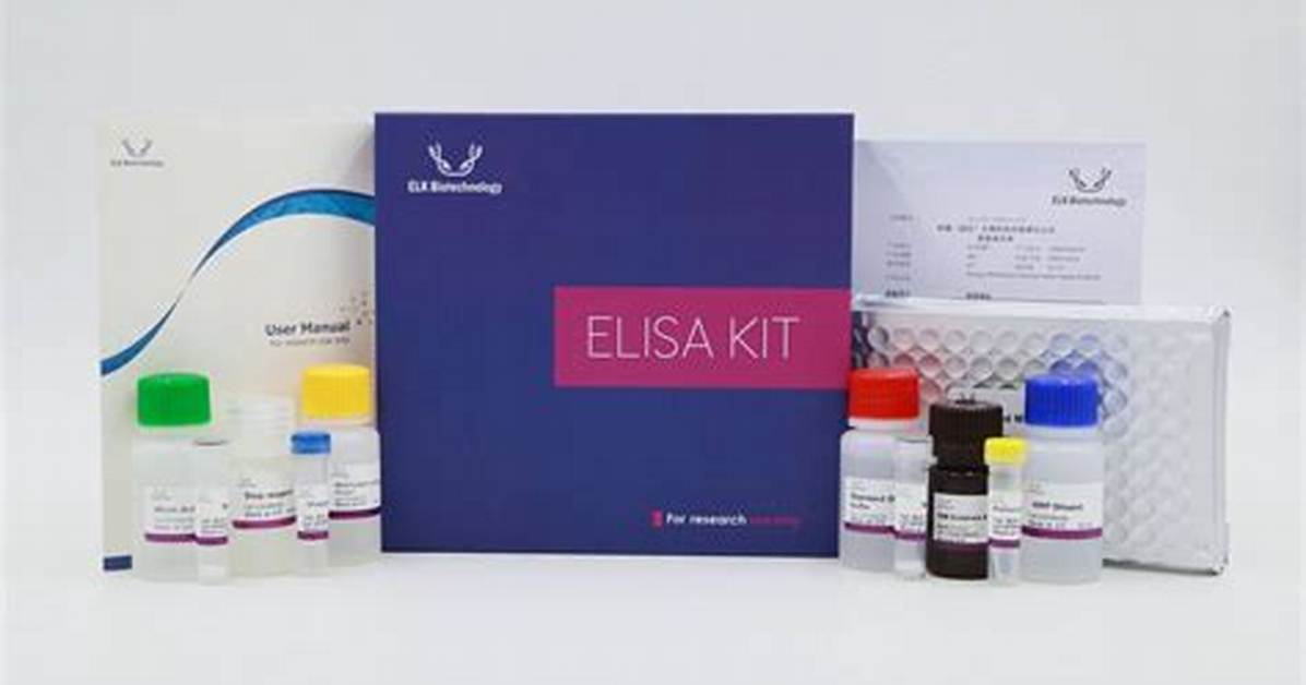 Kit ___