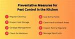 Kitchen Pest